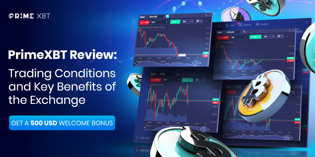 Mastering the Markets A Deep Dive into PrimeXBT Live Trading
