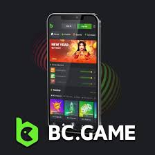 Comprehensive Guide to Payment Methods at BC Game